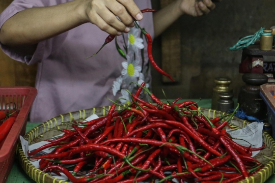 Harga Cabai Terus Meroket
