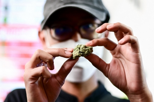 Resmi Dilegalkan, Ganja Mulai Dijual Bebas di Kafe-Kafe Thailand