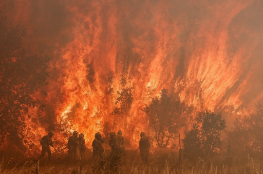 Dahsyatnya Kebakaran Hutan di Spanyol Hanguskan 20.000 Hektar Lahan