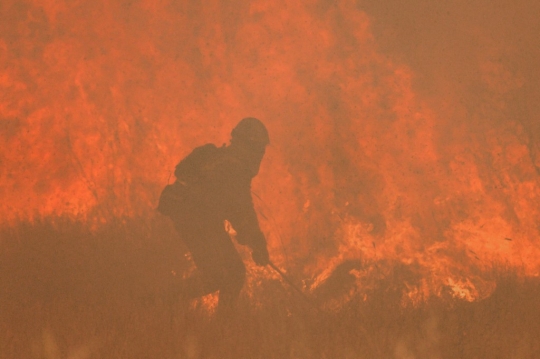 Dahsyatnya Kebakaran Hutan di Spanyol Hanguskan 20.000 Hektar Lahan