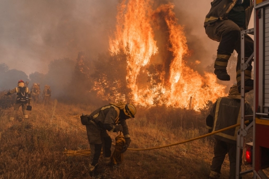Dahsyatnya Kebakaran Hutan di Spanyol Hanguskan 20.000 Hektar Lahan