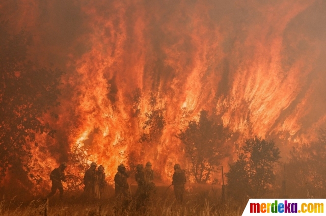 Petugas pemadam kebakaran berjibaku saat melakukan pemadaman di lokasi kebakaran hutan di Pumarejo de Tera dekat Zamora, Spanyol utara (18/6/2022). 