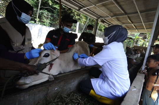 Antisipasi PMK, Sapi-Sapi di Kota Bogor Disuntik Vaksin