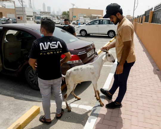 Persiapan Warga Dubai Menyambut Iduladha