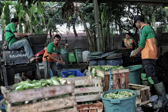 Mengurangi Sampah Organik dengan Budi Daya Maggot