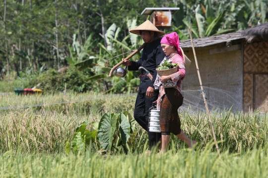 Gaya Busana Petani di Fashion Show Mulyaharja Fest 2022