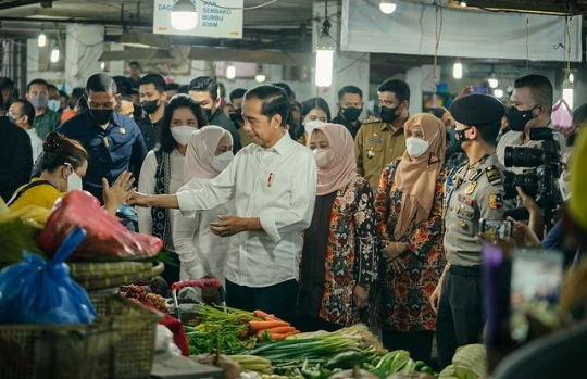 Jokowi Kunker ke Medan Ketemu Anak & Menantu, Disebut Kerja Sambil Silaturahmi