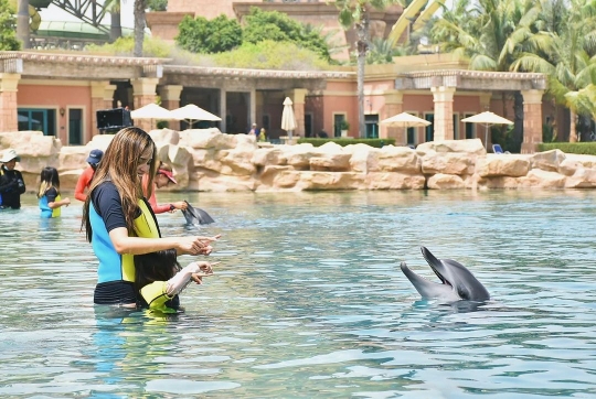 Liburan di Dubai, Ini Momen Yasmine Wilddblood & Keluarga Renang Bareng Lumba-lumba