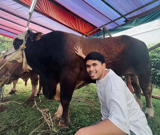 Jelang Idul Adha, Ini Momen Thariq Halilintar Bersama Sapi Kurbannya Bernama Panda