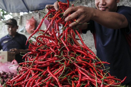 Harga Cabai Merah Keriting Tembus Rp140.000 per Kilogram