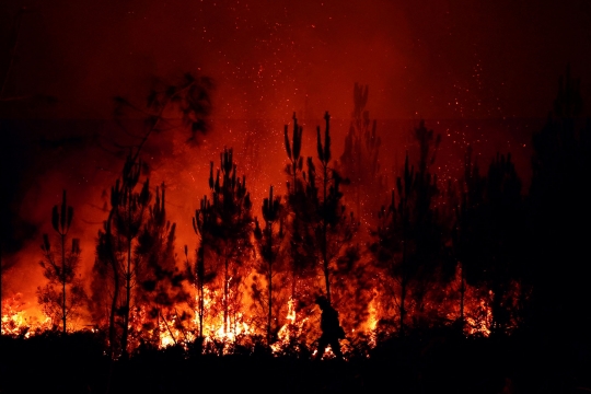 Aksi Damkar Berjibaku Melawan Kebakaran Hutan di Prancis