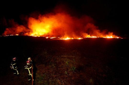 Aksi Damkar Berjibaku Melawan Kebakaran Hutan di Prancis