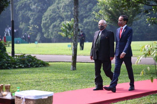 Momen Jokowi dan Presiden Timor Leste Ramos Horta Tanam Pohon di Istana