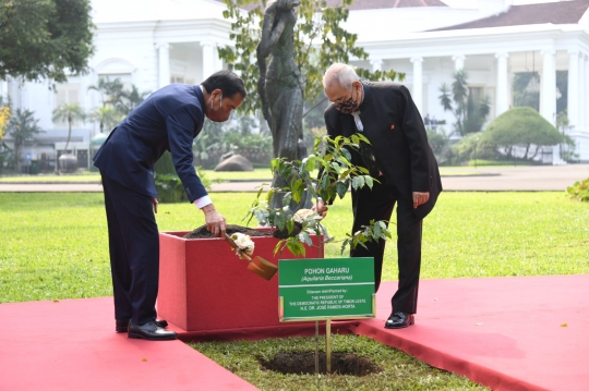 Momen Jokowi dan Presiden Timor Leste Ramos Horta Tanam Pohon di Istana