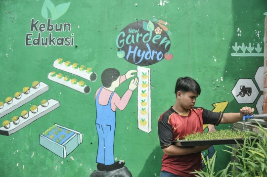 Budi Daya Sayuran Hidroponik Jadi Produk Ekonomis di Kebun Edukasi