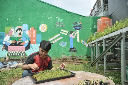 Budi Daya Sayuran Hidroponik Jadi Produk Ekonomis di Kebun Edukasi