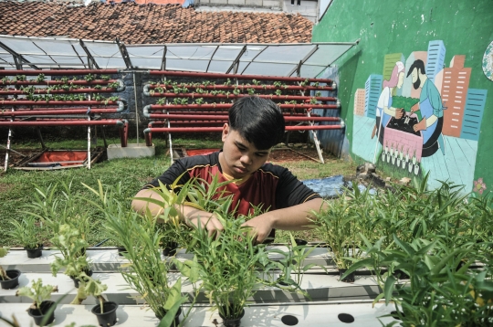 Budi Daya Sayuran Hidroponik Jadi Produk Ekonomis di Kebun Edukasi