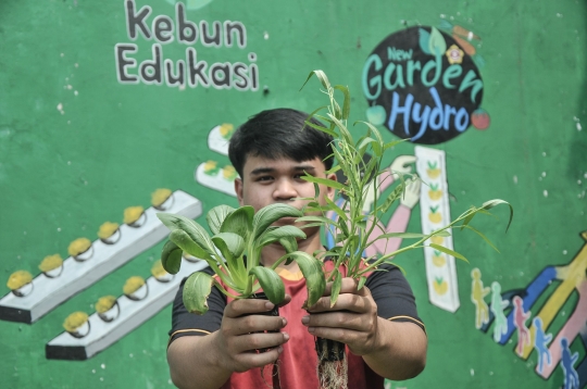 Budi Daya Sayuran Hidroponik Jadi Produk Ekonomis di Kebun Edukasi