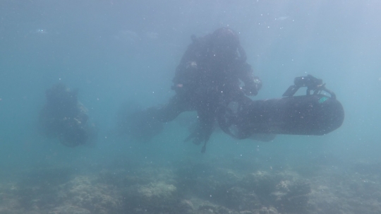 Bergerak Cepat dalam Senyap, TNI AL Kuasai Pantai Pasir Putih Banongan Situbondo