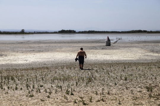 Ratusan Ikan di Danau Eropa Mati Akibat Gelombang Panas