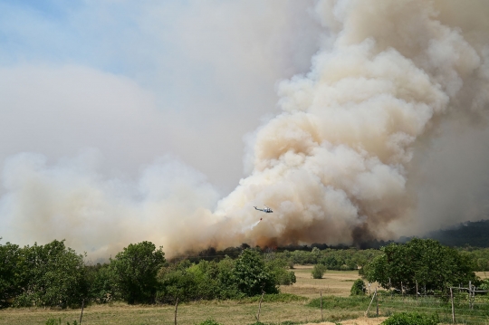 Kesibukan Helikopter Militer Slovenia Perangi Kebakaran Hutan