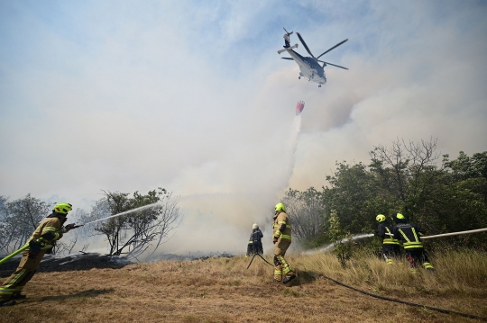 Kesibukan Helikopter Militer Slovenia Perangi Kebakaran Hutan