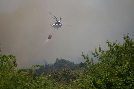 Kesibukan Helikopter Militer Slovenia Perangi Kebakaran Hutan