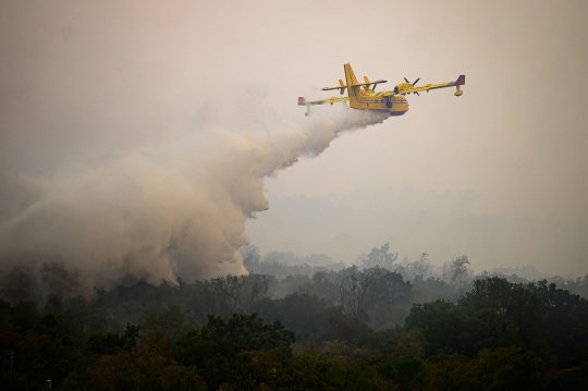 Kesibukan Helikopter Militer Slovenia Perangi Kebakaran Hutan