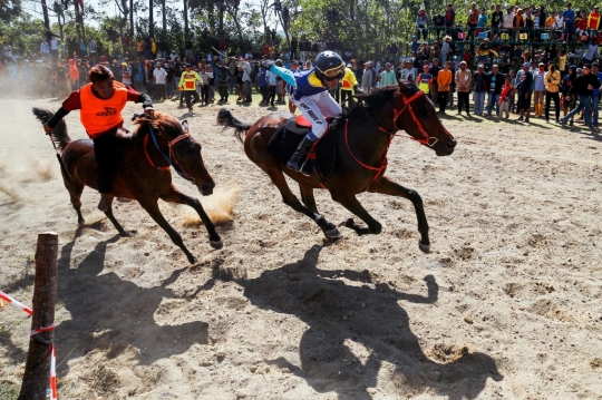 Menyaksikan Keseruan Pacuan Kuda Tradisional di Jeneponto