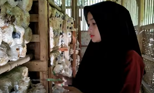Potret Gadis Desa yang Cantik Budidaya Jamur Tiram, Netizen 'Patut dicontoh'