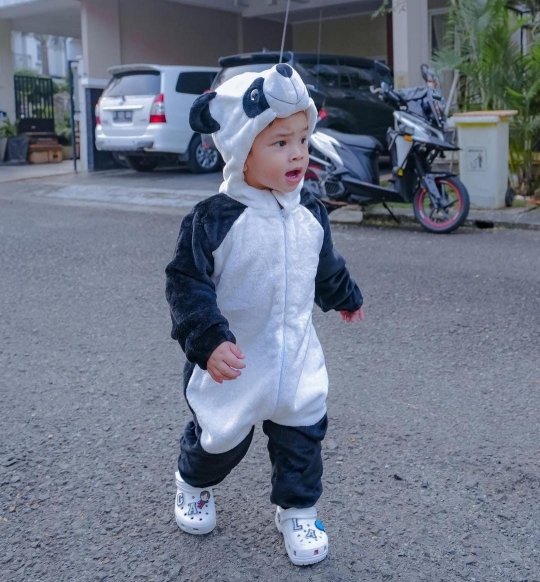 Gemasnya Gala Sky Pakai Kostum Panda, Fuji Sebut Kaya Boneka