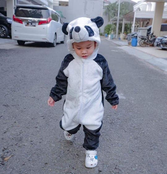 Gemasnya Gala Sky Pakai Kostum Panda, Fuji Sebut Kaya Boneka