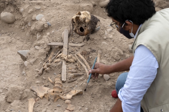 Penemuan Makam Kuno Berusia 1.000 Tahun di Dalam Kebun Binatang Peru