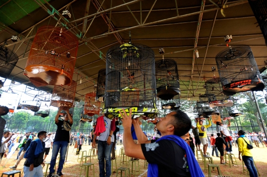 Lomba Kicau Burung Pra Piala Gubernur di Lapangan Banteng