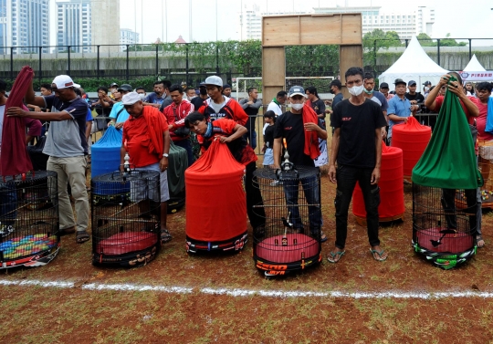 Lomba Kicau Burung Pra Piala Gubernur di Lapangan Banteng