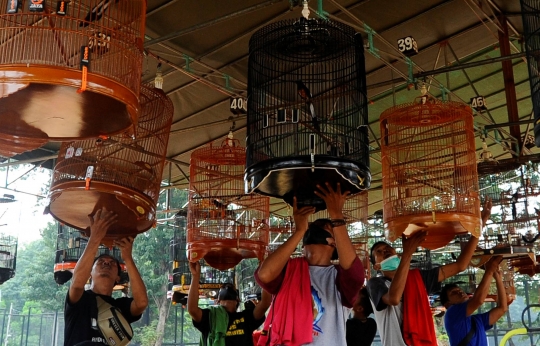 Lomba Kicau Burung Pra Piala Gubernur di Lapangan Banteng