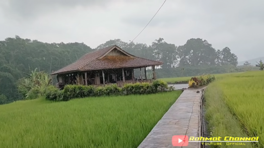 Potret 1 Rumah Terpencil di Tengah Sawah Jawa Barat, Indah & Sejuknya Tak Ada Lawan