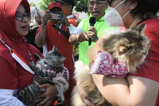 Yang Lucu dan Menggemaskan di Fashion Show Kucing Rumahan Duren Sawit