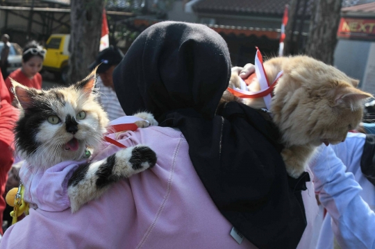 Yang Lucu dan Menggemaskan di Fashion Show Kucing Rumahan Duren Sawit