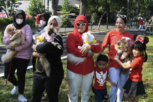 Yang Lucu dan Menggemaskan di Fashion Show Kucing Rumahan Duren Sawit