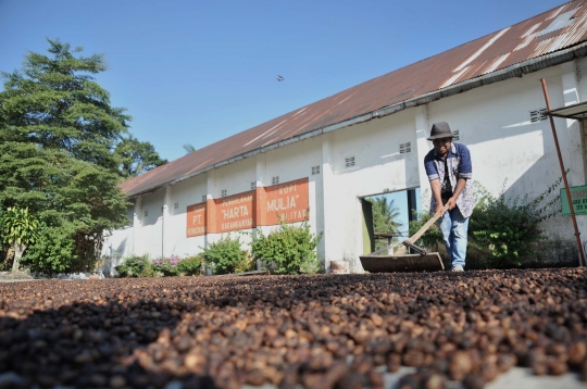 Jejak Kopi Blitar yang Melegenda