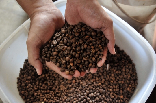 Jejak Kopi Blitar yang Melegenda