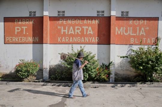Jejak Kopi Blitar yang Melegenda