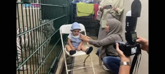 Rayyanza Jalani Pemotretan Bareng Harimau Milik Alshad, Hasilnya Menggemaskan Abis