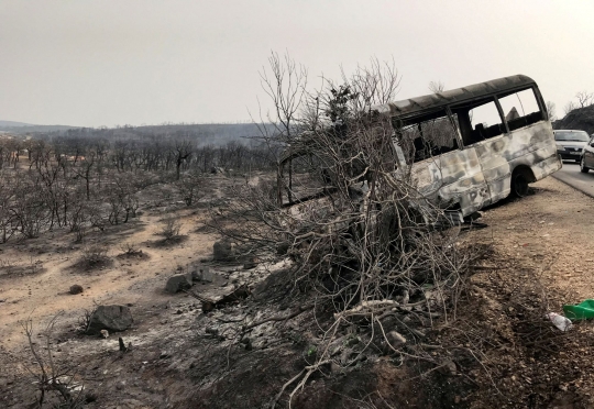 Potret Tragis Kebakaran Hutan di Aljazair yang Tewaskan 37 Orang