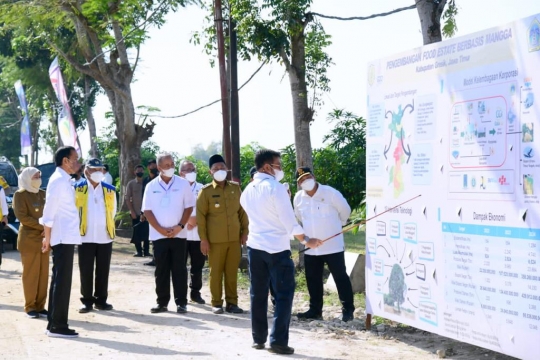 Presiden Jokowi Luncurkan Lumbung Pangan Berbasis Mangga di Gresik