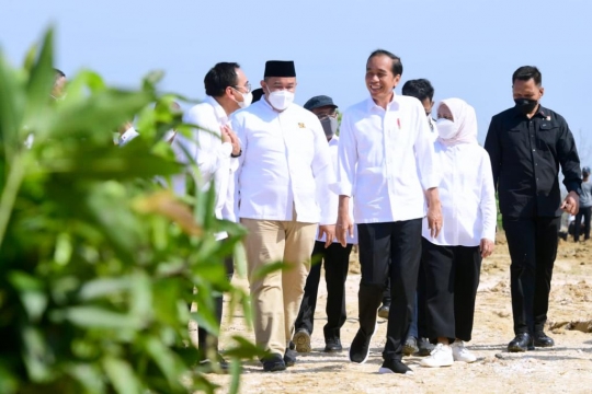 Presiden Jokowi Luncurkan Lumbung Pangan Berbasis Mangga di Gresik