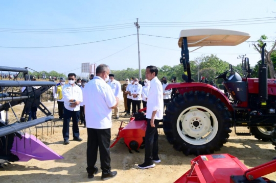 Presiden Jokowi Luncurkan Lumbung Pangan Berbasis Mangga di Gresik