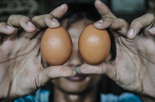 Harga Telur Ayam Terus Meroket