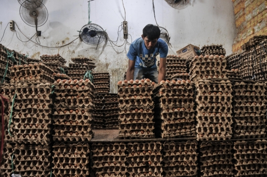 Harga Telur Ayam Terus Meroket